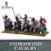 Elf Stormwind Cavalry (5) 1
