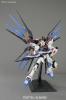 Pg 1/60 Strike Freedom Gundam 3