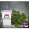 Kraut for Trees (400mL)