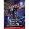Dungeons & Dragons: Forgotten Realms Adventure Guide