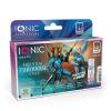 Essential Turquise Paint Set