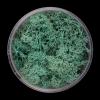 Alien Hedge Basing Material