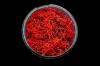 Bleeding Hedge Basing Material