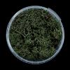 Darkwood Hedge Basing Material