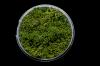 Green Hedge Basing Material
