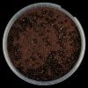 Swamp Lands Army Dip Pot Miniature Basing material