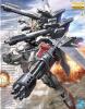 Mg 1/100 Strike Gundam + ＩＷＳＰ