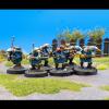Quar Coftyran Infantry 2