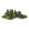 Local Forces Anti-Air Platoon