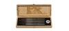 Artis Opus - David Arroba Custom Brush Set (5-Brush DELUXE) 4