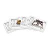 Hardwar - Unit Card Pack