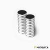 Round N38 Magnets 10x2 mm (25)