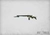 Steam Rifles (10)