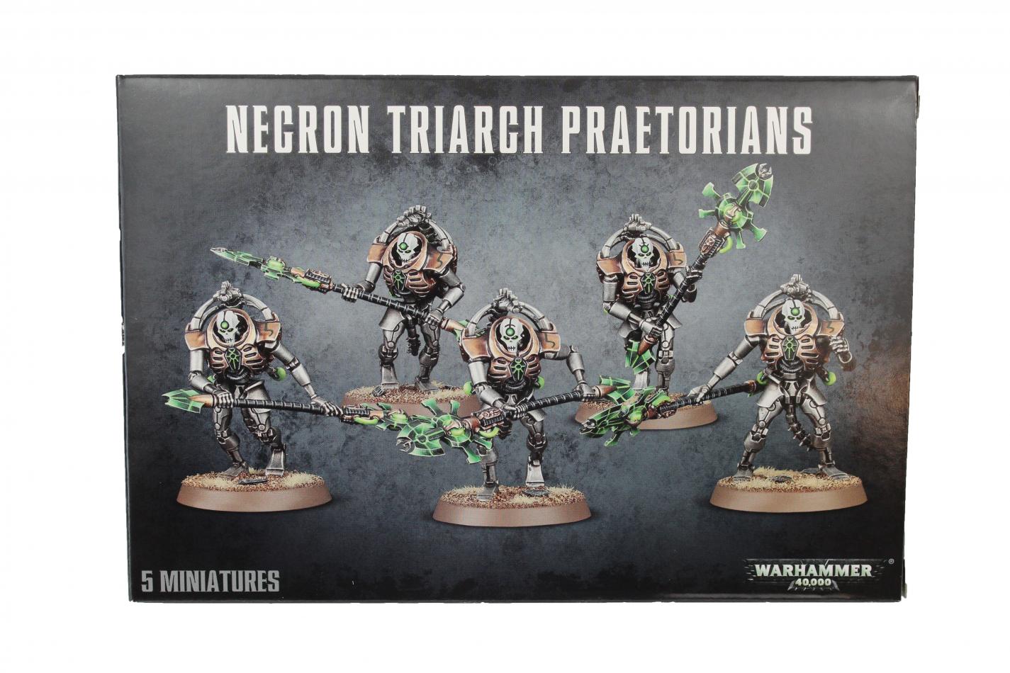 Necron Lychguard / Triarch Praetorians