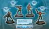 Celestial Guard Box Set (4)