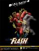 The Flash (dc)