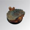 50mm round Rock and trunks Base 