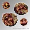 Chaos Carnage 40 mm Round Bases (2)