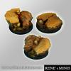 Royal Lions RuinsRoundEdge Bases 30mm