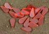 Wound Tokens