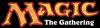 Magic: The Gathering - Dragons of Tarkir Intro Pack Bundle