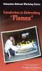 P Shanteau Intro to Airbrushing Flames (DVD)