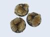 Shale Bases, 50mm Round (2)