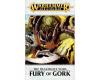 Realmgate Wars 7: Fury of Gork (Hardback)