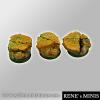 Royal Lions Ruins round Bases 25mm #2