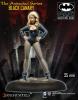 Black Canary Animated Series