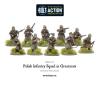 Polish Infantry Squad in greatcoats (10 man)