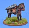Pack Pony (Kite Shield)