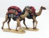 Baggage Camels