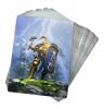 Warscroll Cards: Stormcast Eternals 1