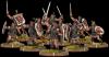 Warriors of Dyngonwy, Rhyfelwr Unit (10x warriors w cmd)