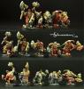 Furious Warriors set of 5 miniatures (5)