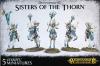 Sisters of the Thorn / Wild Riders