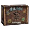 Harry Potter Hogwarts Battle- A Cooperative Deck Building Game