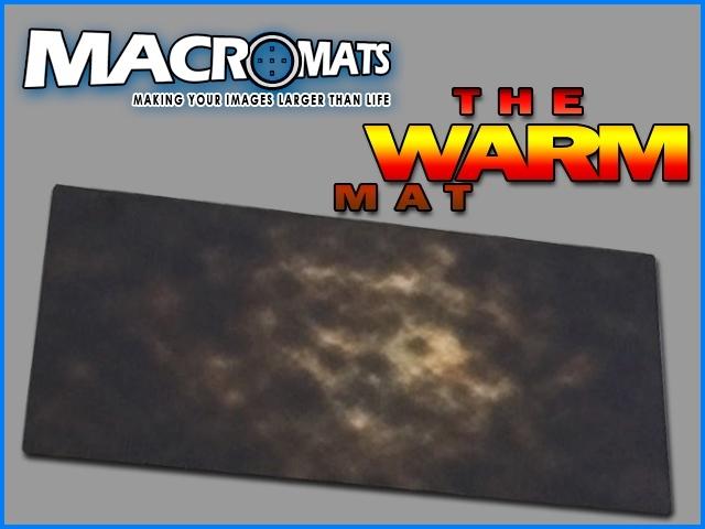 The MacroMats - Warm