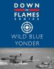 Wild Blue Yonder: Plane vs Plane Air Combat 1939 - 1945 Down in Flames Series 2