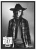The Walking Dead: Carl Standard Deck Protector Sleeves (50)