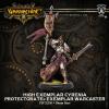Protectorate Warcaster High Exemplar Cyrenia  all metal