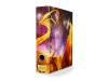 Dragon Shield Slipcase Binder- Glist