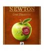 Newton: Great Discoveries