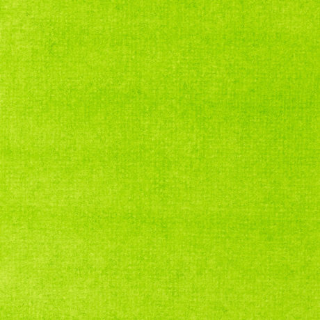 Liquitex : Professional : Acrylic Ink : 30ml : Fluorescent Green