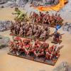 Salamander Army
