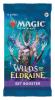 MTG: Wilds of Eldraine Set Booster - Single
